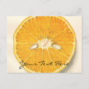 Oranje Briefkaart