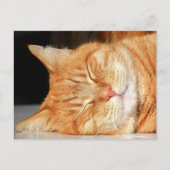 Oranje briefkaart (Voorkant)