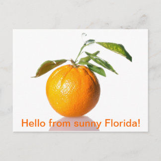 Oranje briefkaart - hallo uit zonnige Florida!