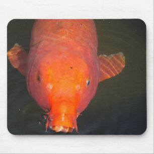 Oranje Briefkaart Koi Muismat