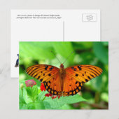 Oranje Briefkaart van vlinder (Voorkant / Achterkant)