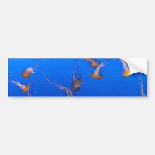 Oranje Bumpersticker (Voorkant)