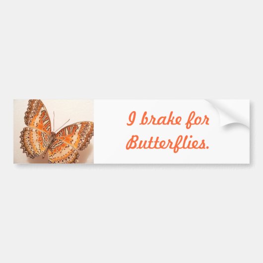 Oranje Bumpersticker voor vlinder (Voorkant)