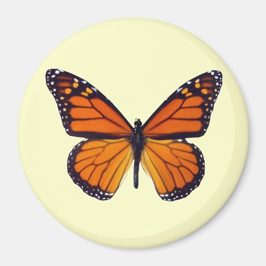 Oranje Butterfly Magnet Magneet (Voorkant)