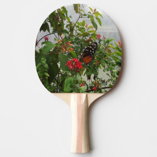 ORANJE BUTTERFLY TAFELTENNISBATJE (Voorkant)