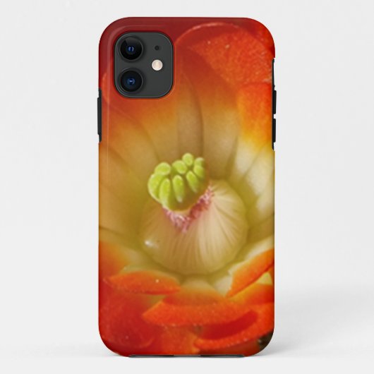 Oranje cactus bloem iPhone Case (Achterkant)