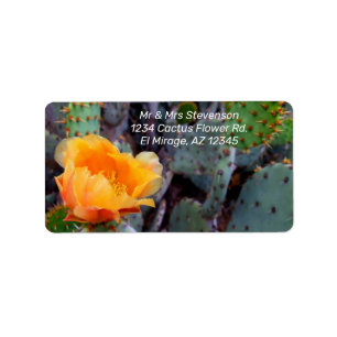 Oranje Cactus Flower Blossom Prickly Pear Opuntia Etiket