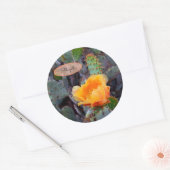Oranje Cactus Flower Blossom Prickly Pear Opuntia Ronde Sticker (Envelop)