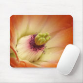 Oranje Cactus Flower Muismat (Met muis)