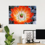 Oranje Cactus Flower Poster (Thuiskantoor)