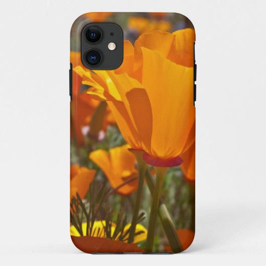 Oranje california poppies Case-Mate iPhone case (Achterkant)