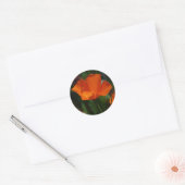 Oranje California Poppy Sticker (Envelop)