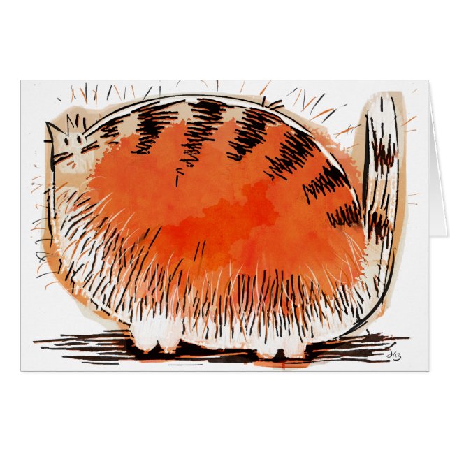 oranje cartoon (Voorkant Horizontaal)