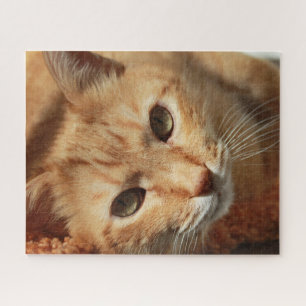 Oranje Cat Jigzaag Puzzle Legpuzzel