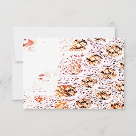 Oranje celafdruk (Voorkant)