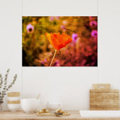 Oranje chiffon poster (Keuken)