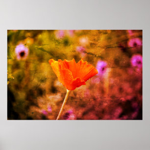 Oranje chiffon poster