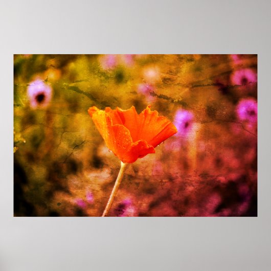 Oranje chiffon poster (Voorkant)