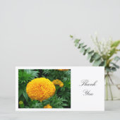 Oranje chrysant - Dank u Bedankkaart (Staand voorkant)