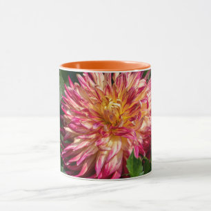 Oranje Chrysanthemum Fotografie, Canadese Schoonhe Mok
