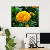 Oranje Chrysanthemum Poster (Thuiskantoor)