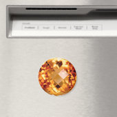 Oranje citrine magneet (Insitu (Vaatwasser))