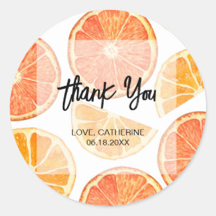 Oranje Citrus Slice Summer Dank u Ronde Sticker