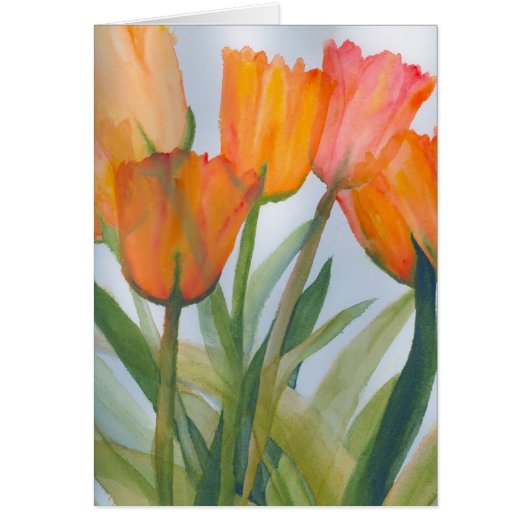 Oranje citrustulpen (Voorkant)