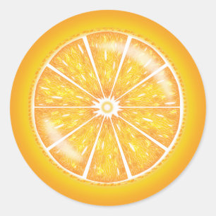Oranje Citrusvrucht Slice Illustratie Ronde Sticker