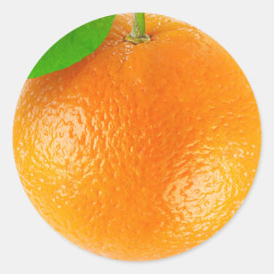 Oranje close-up ronde sticker