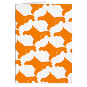 Oranje Cocker Spaniel