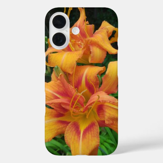 Oranje dagbloemen Case-Mate iPhone case (Achterkant)