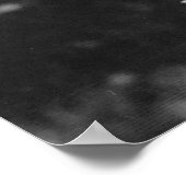 Oranje dagleliefje afbeelding poster (Hoek)