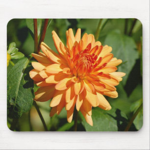 Oranje dahlia met knop en bladeren muismat