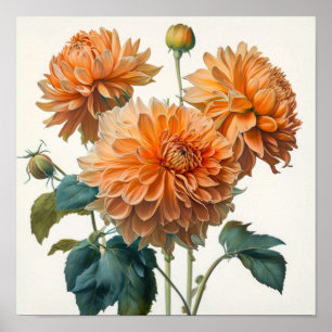 Oranje Dahlias Bloem Kunstprint Poster