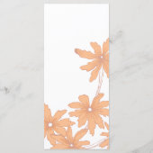 Oranje Daisies over het programma van de Witte bru (Achterkant)