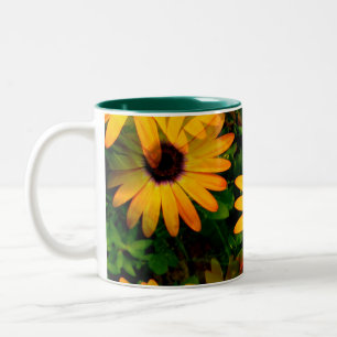 Oranje Daisy als grote Mok