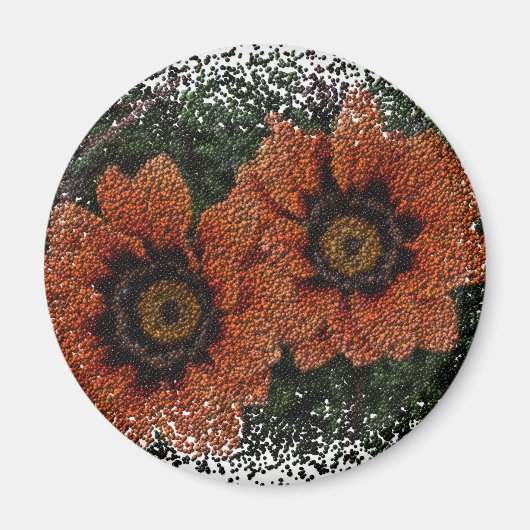 Oranje Daisy Balls Round Magnet Magneet (Voorkant)