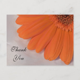 Oranje Daisy en White Satin Weddenschap Dank je Briefkaart