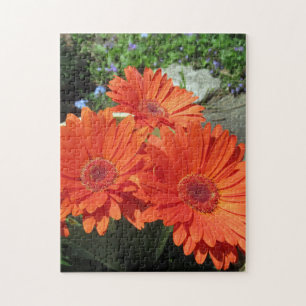 Oranje Daisy Flower Photo Puzzle Legpuzzel