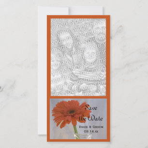 Oranje Daisy in Vase Wedding Save the Date