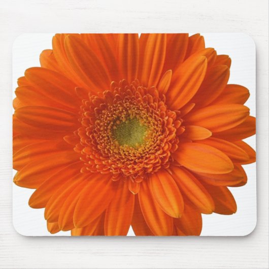 Oranje Daisy Muismat (Voorkant)