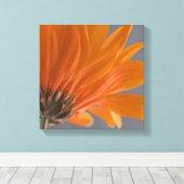 Oranje Daisy over grijs Canvas Afdruk (Insitu (Houten vloer))
