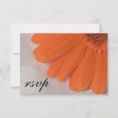 Oranje Daisy White Satin Weddenschap RSVP Reactie (Voorkant)