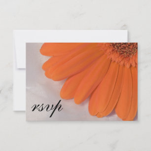 Oranje Daisy White Satin Weddenschap RSVP Reactie