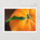 Oranje dat je blij bent? briefkaart (Voorkant)