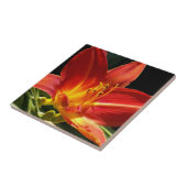 Oranje Daylily Bloom Floral Tegeltje (Zijkant)