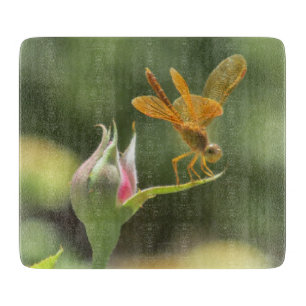 Oranje dragonfly op Rosebud Snijplank