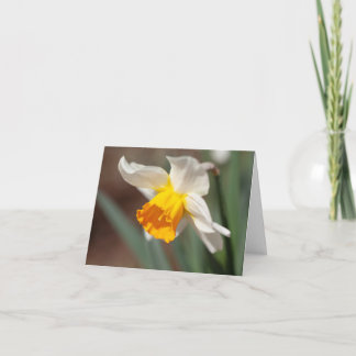 Oranje en Crème Kleurige Tulp Bedankkaart
