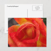 Oranje en Geel Briefkaart (Voorkant / Achterkant)